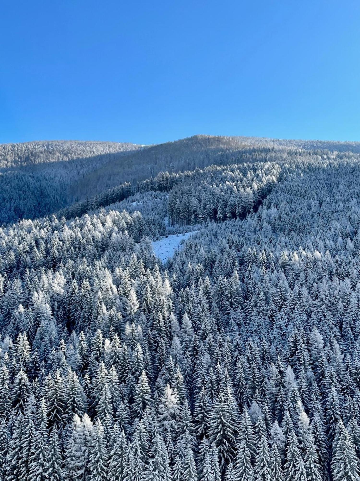 Dualpark Afritz Am See Lägenhet Scherzboden Exteriör bild