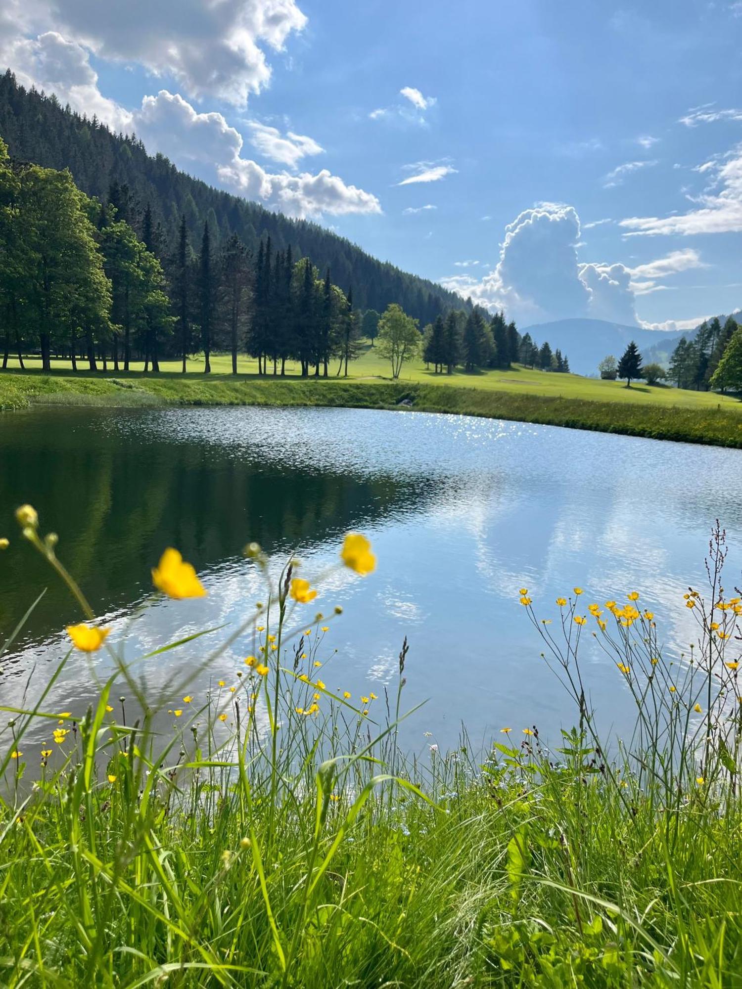 Dualpark Afritz Am See Lägenhet Scherzboden Exteriör bild